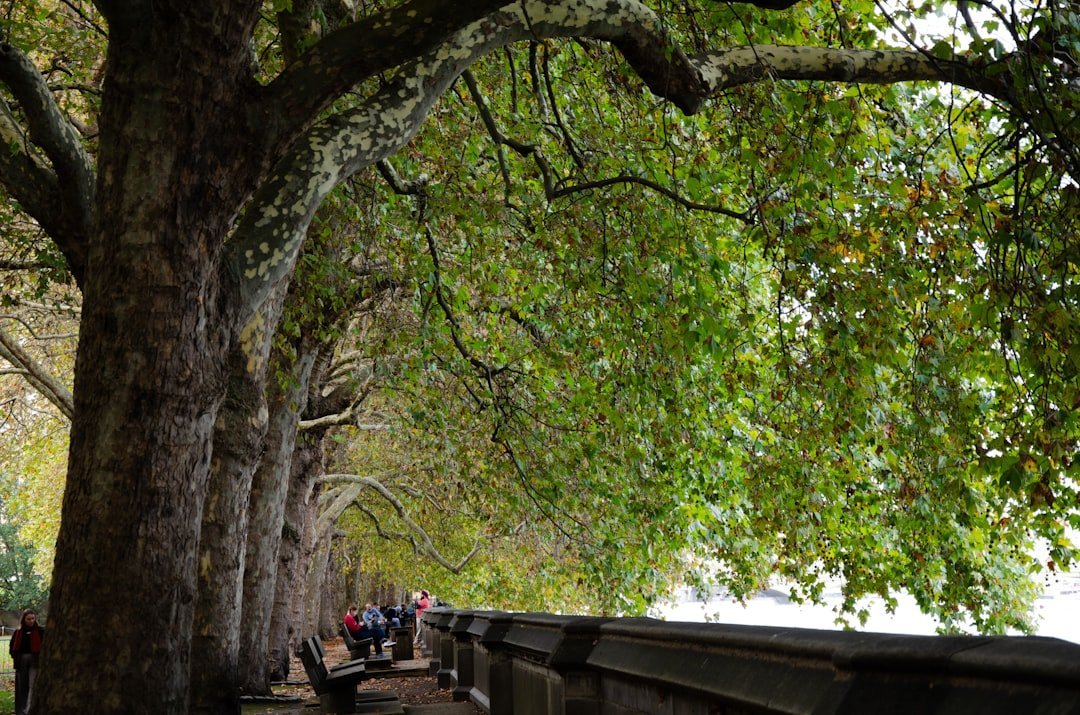 Riverside park and promenade in Thu Thiem District 2