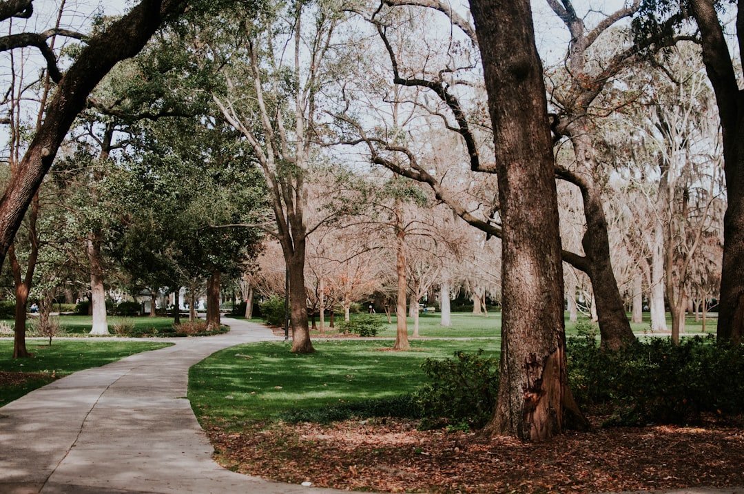 Vinhomes Central Park for rent riverside park