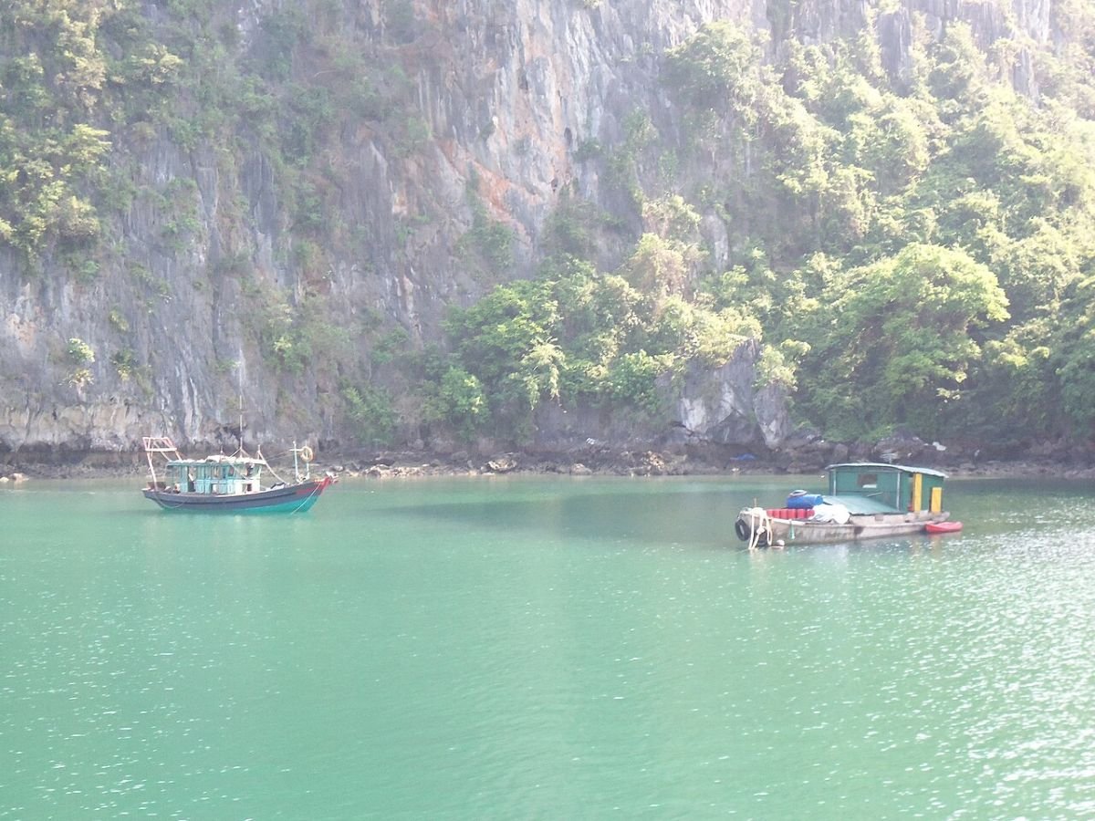 Green water in Ha Long Bay