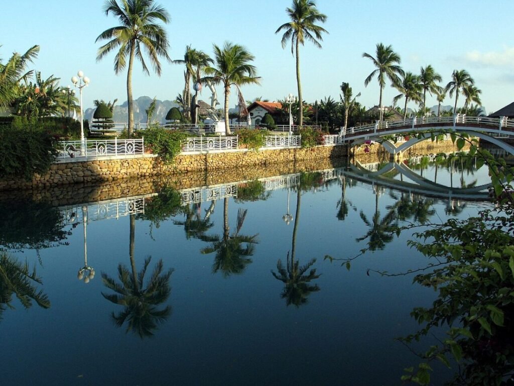 Palms reflected in a Ha Long lake