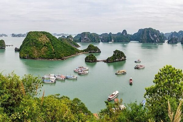 A La Carte Ha Long Bay studio for sale, 45 m² direct sea view in tower A