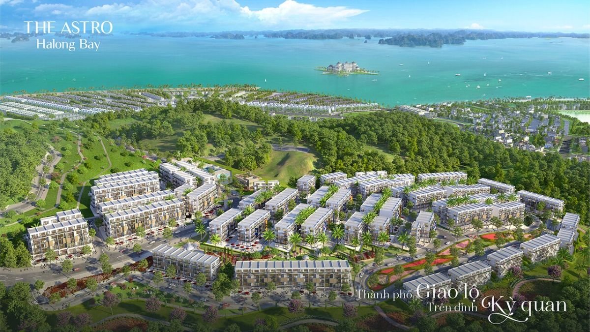 Ha Long coast from above