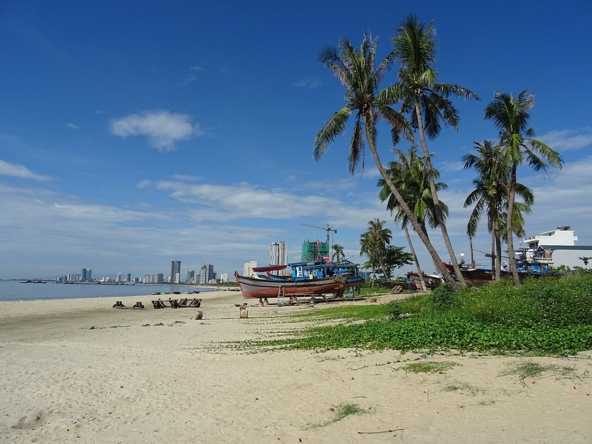 Palm trees on a Da Nang beach
