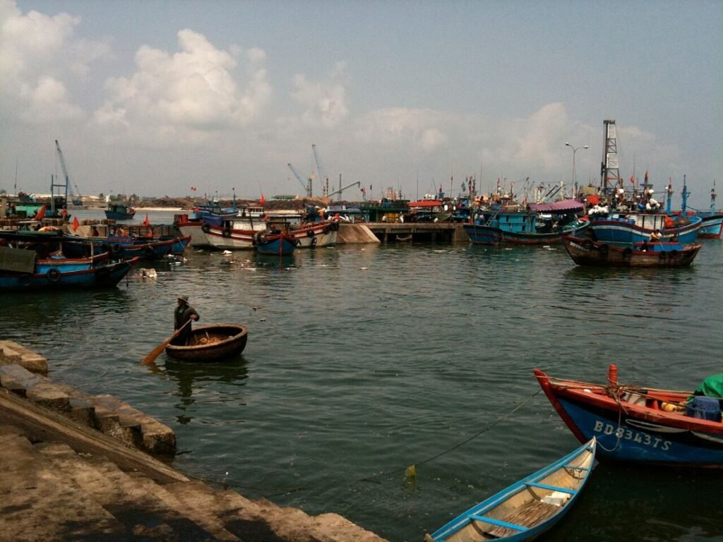 Fishing boats in Quy Nhon harbour