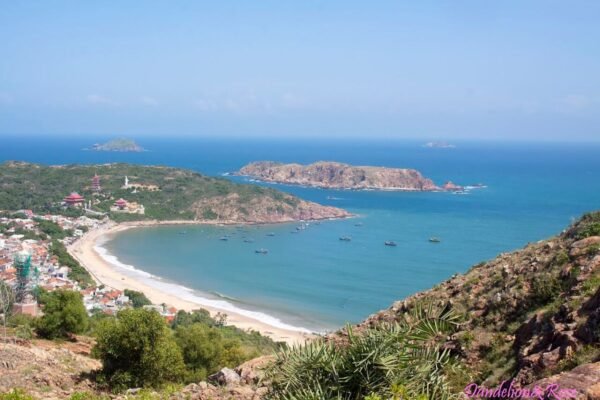 Altara Residences Quy Nhon 2-bedroom for rent, 61 m², city view