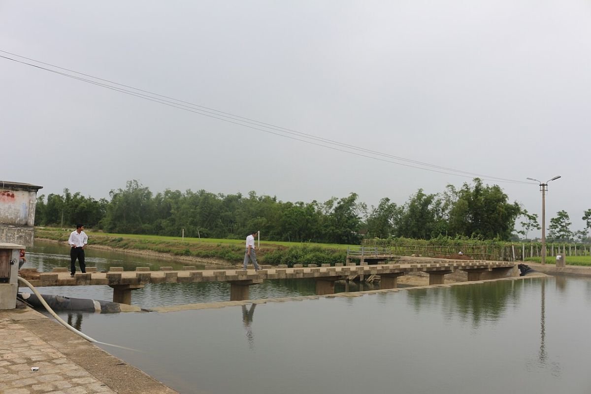 River near Quy Nhon