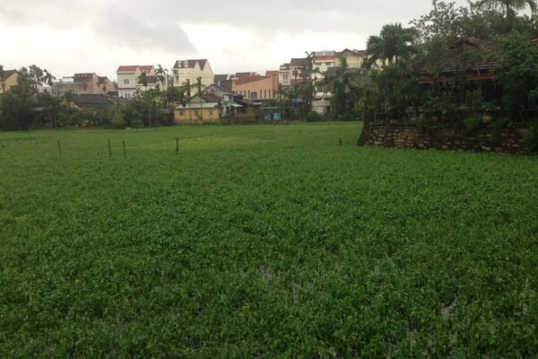 Casamia Hoi An villa for sale, 162 m² with private jetty