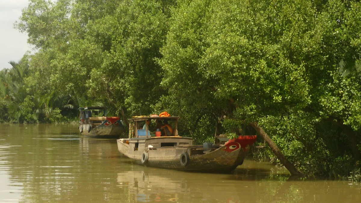 A river in Nha Be, Ho Chi Minh City