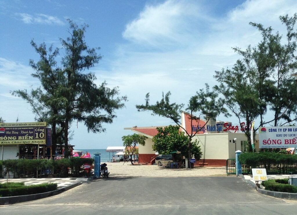 Palm-lined avenue in Vung Tau