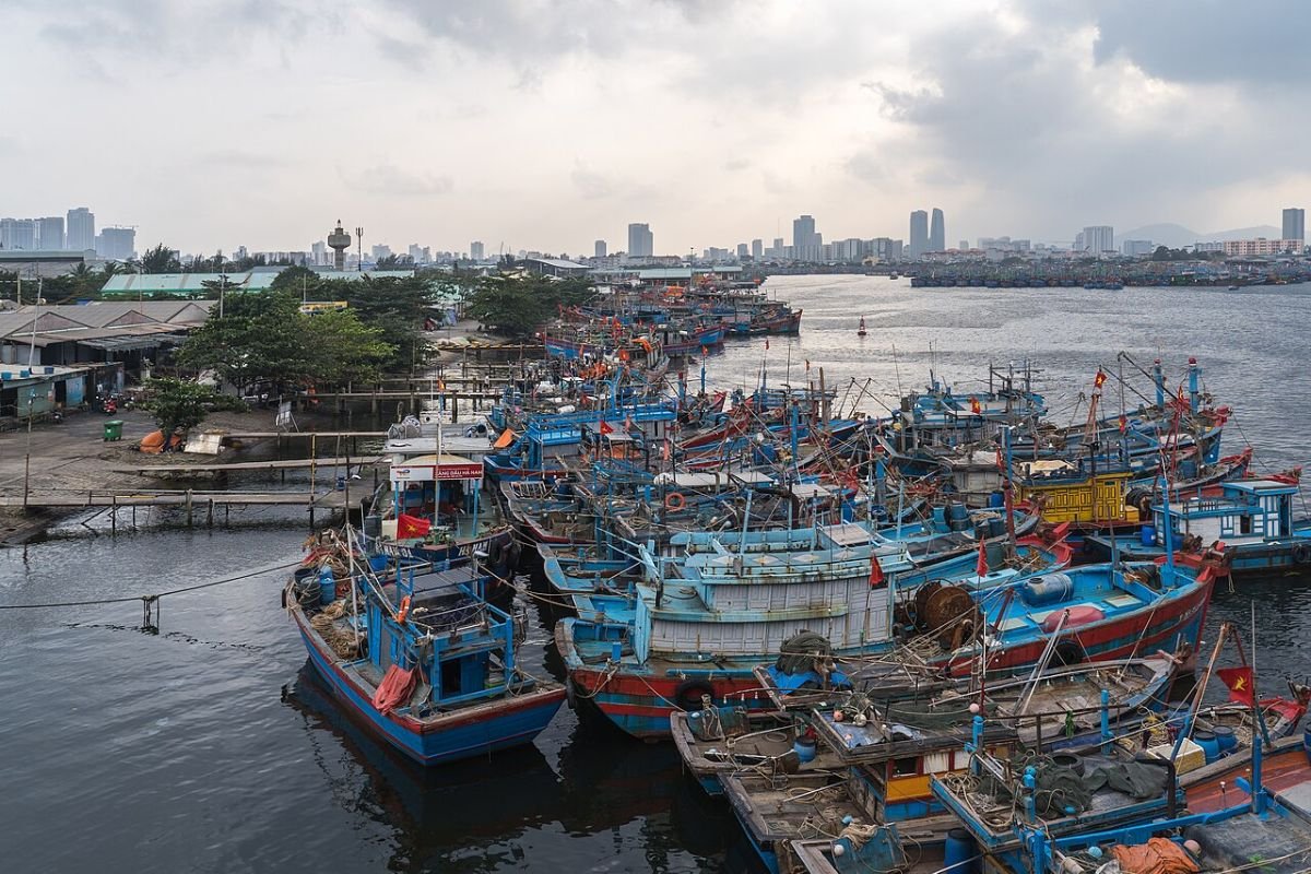 Fishing harbour in Da Nang