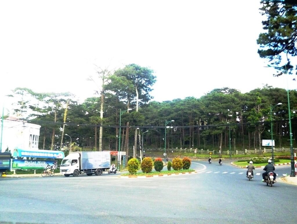 Lake and pines in Da Lat