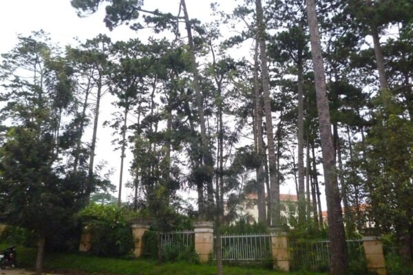 Dalat Center 3-bedroom for sale, 90 m² with strong rental income
