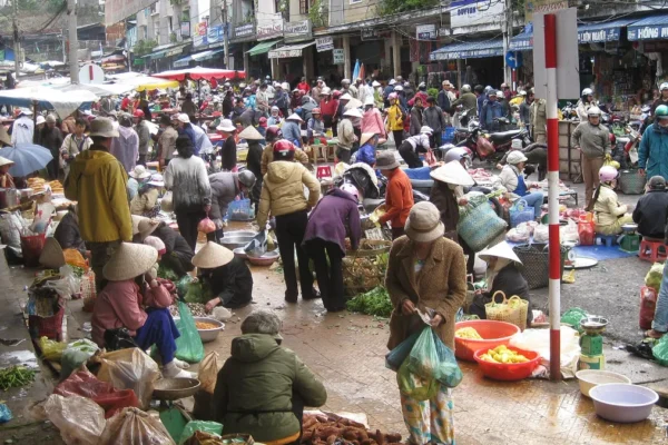 Dalat Center