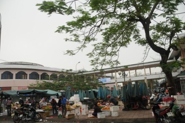 Dong Hoi Central Social Housing 2-bedroom for rent, pre-registration