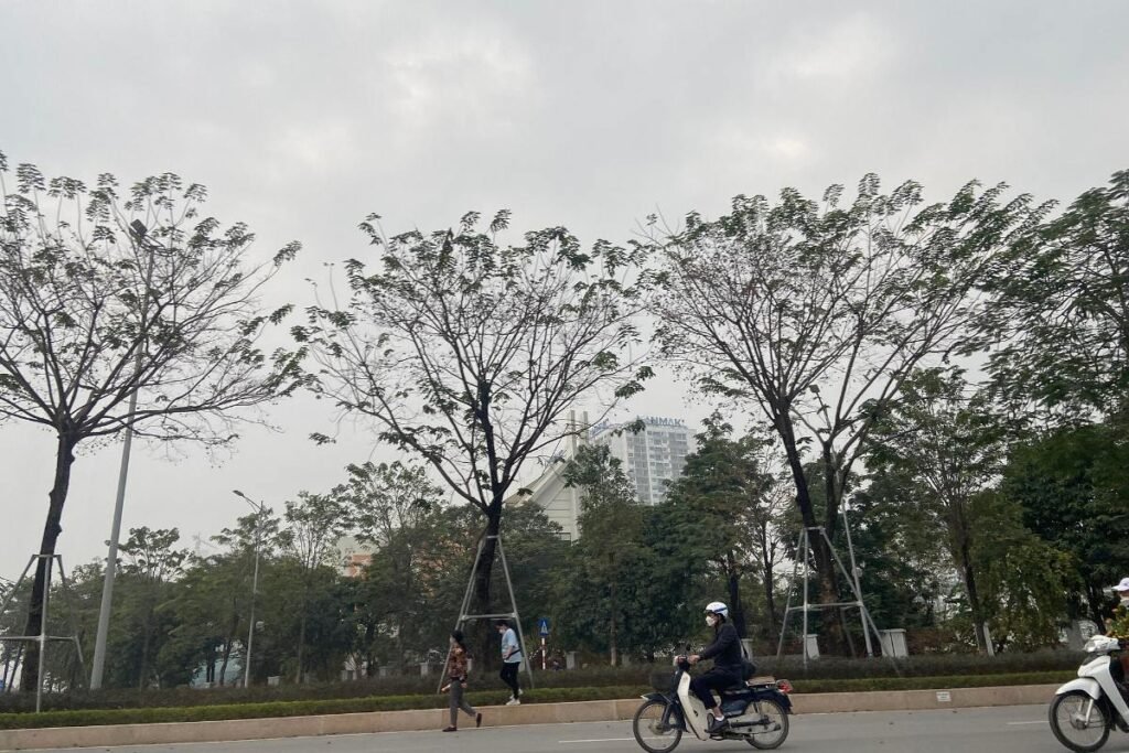Vo Chi Cong road corridor in the east of Ho Chi Minh City near Gladia Heights
