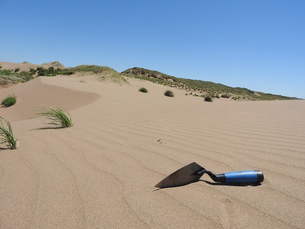 Sand dunes near Quy Nhon