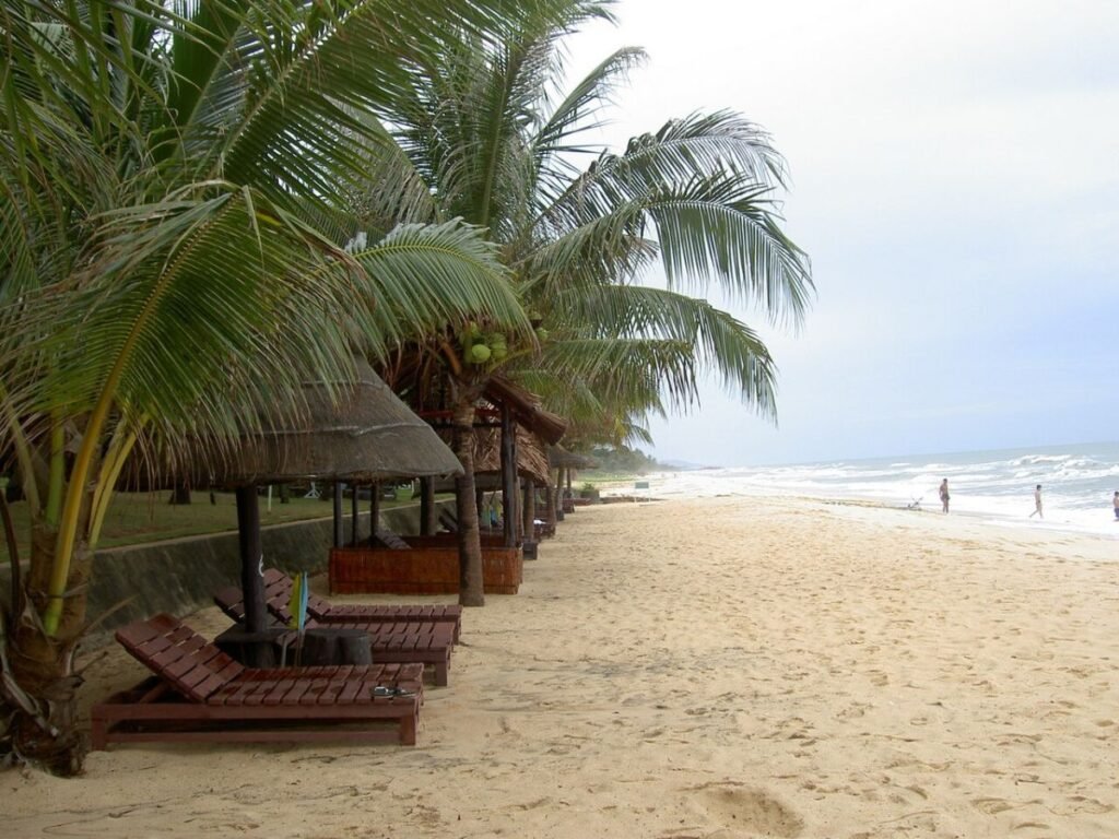 Palm-shaded beach on Phu Quoc