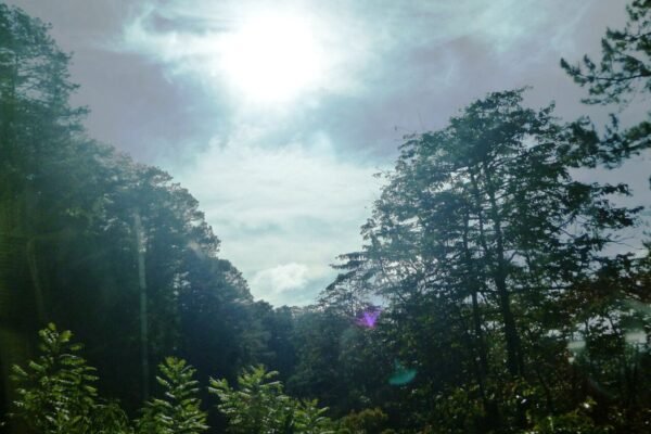 Haus Da Lat 3-bedroom sky villa for sale, 140 m² facing the pine forest