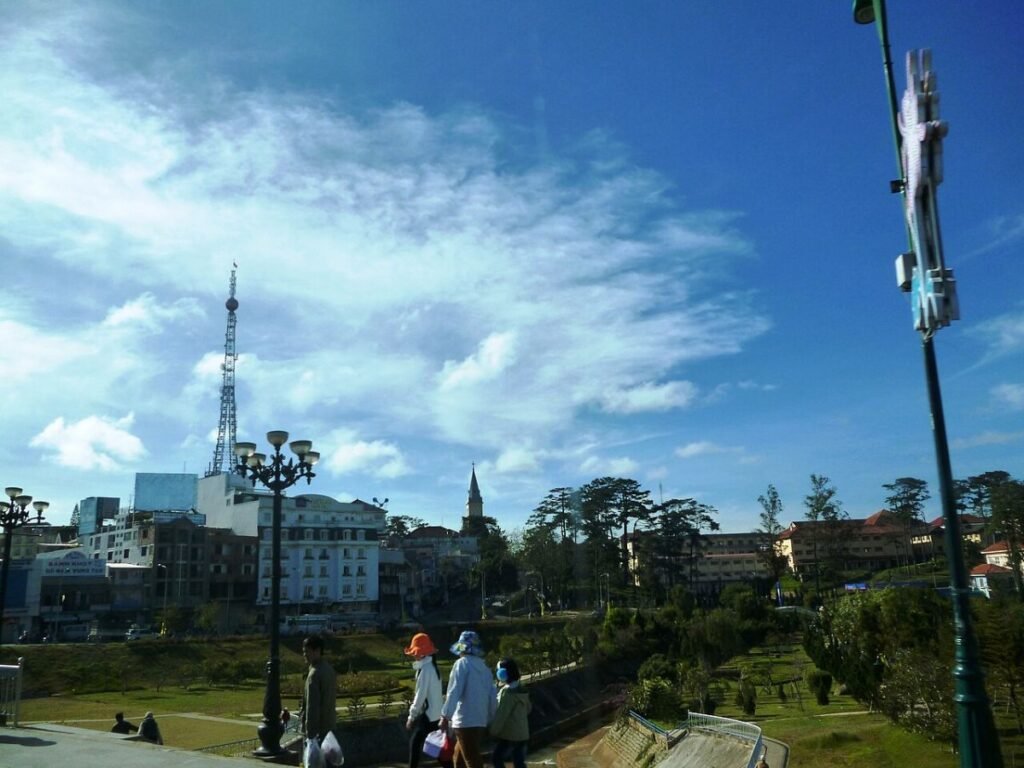 Pine forest in Lam Dong
