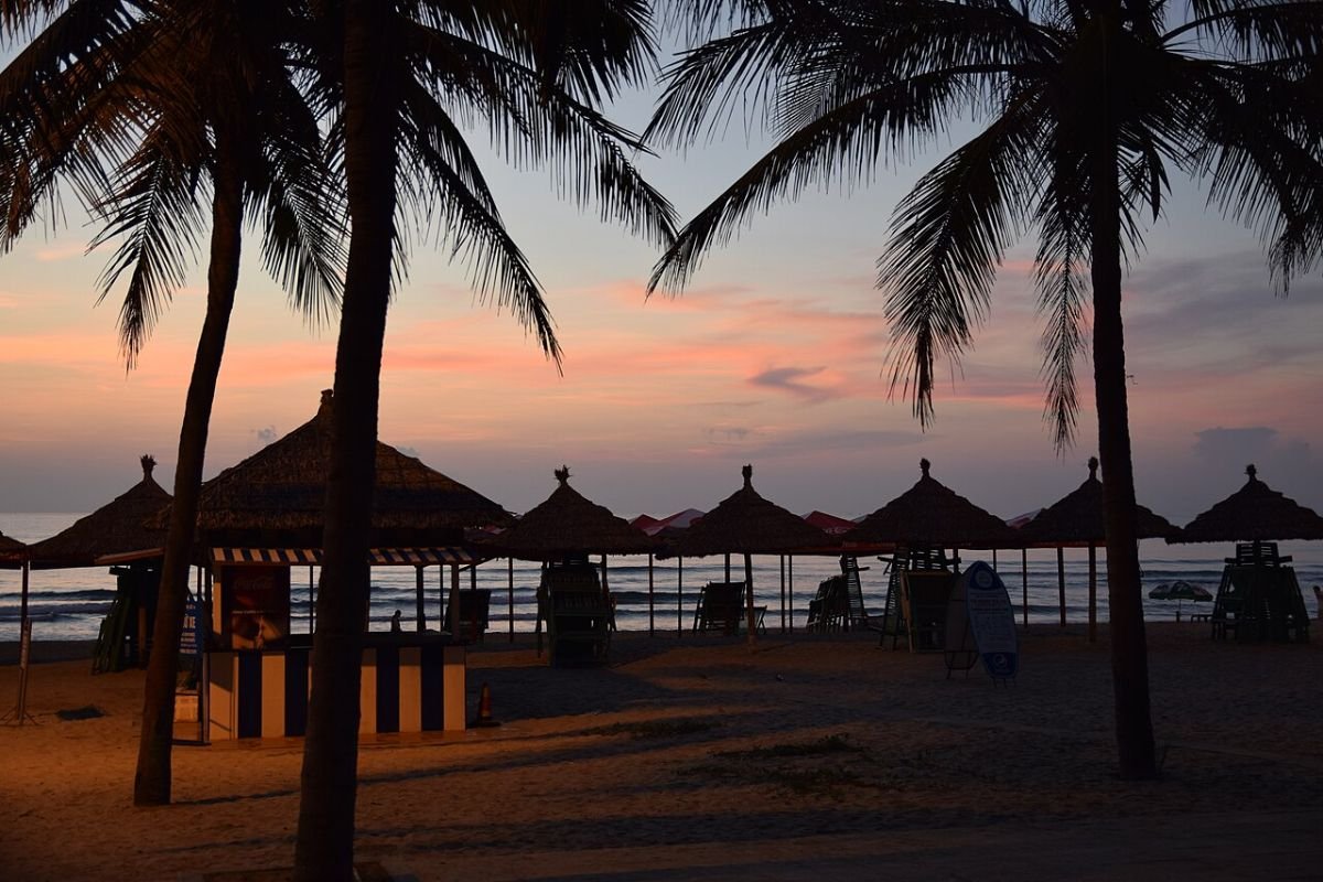 Palm trees at sunrise on a Da Nang beach