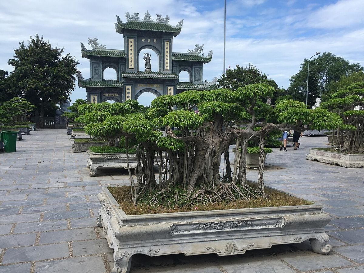 Bonsai garden at Linh Ung Pagoda