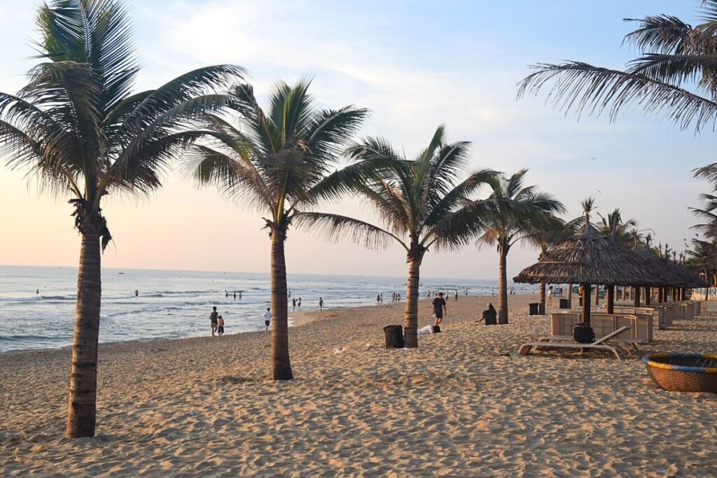 Palm-lined beach in Da Nang