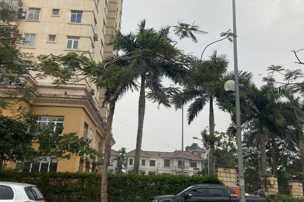 Road and greenery near Imperia Sensa Park 3-bedroom apartments