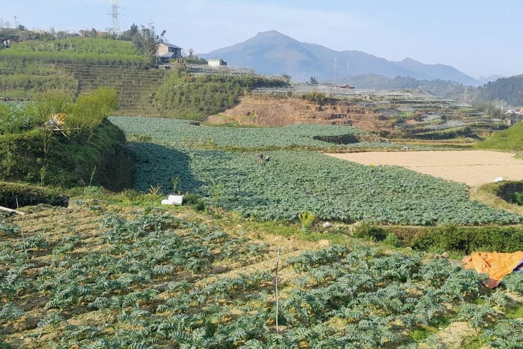 The mountains around Sa Pa near Irista Hill