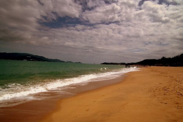 Marina Suites Nha Trang corner 2-bedroom for rent, 80 m², high floor