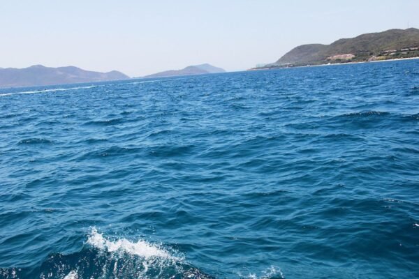 Marina Suites Nha Trang studio for rent, 48 m² with side sea view