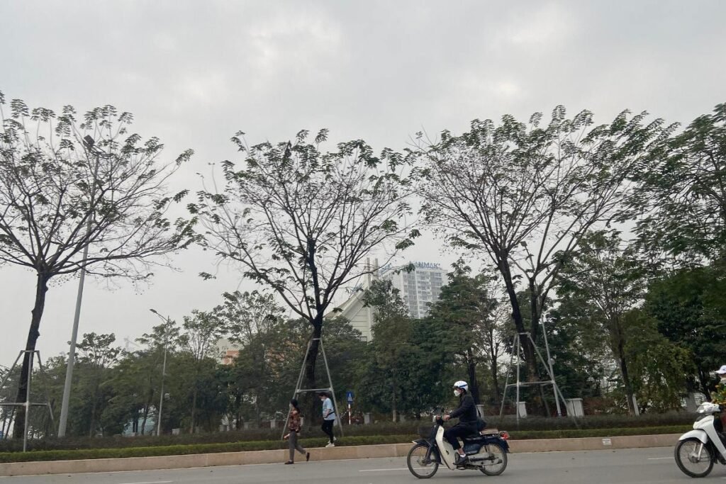 Road near The Global City, home of Masteri Park Place