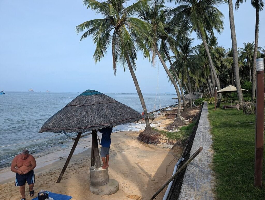 Thatched umbrellas by the sea, Phu Quoc