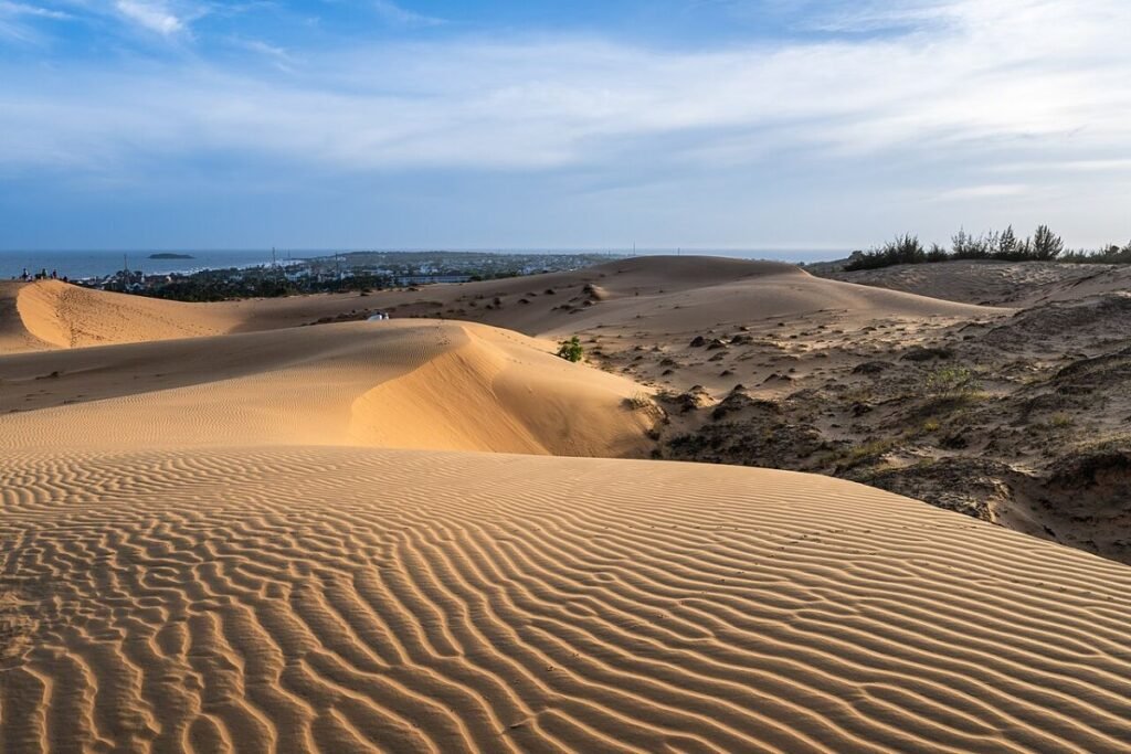 Rippled sand dunes