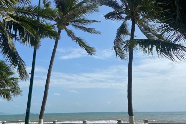 Panorama Nha Trang fan-shaped 1-bedroom for rent, 52 m² facing the sea