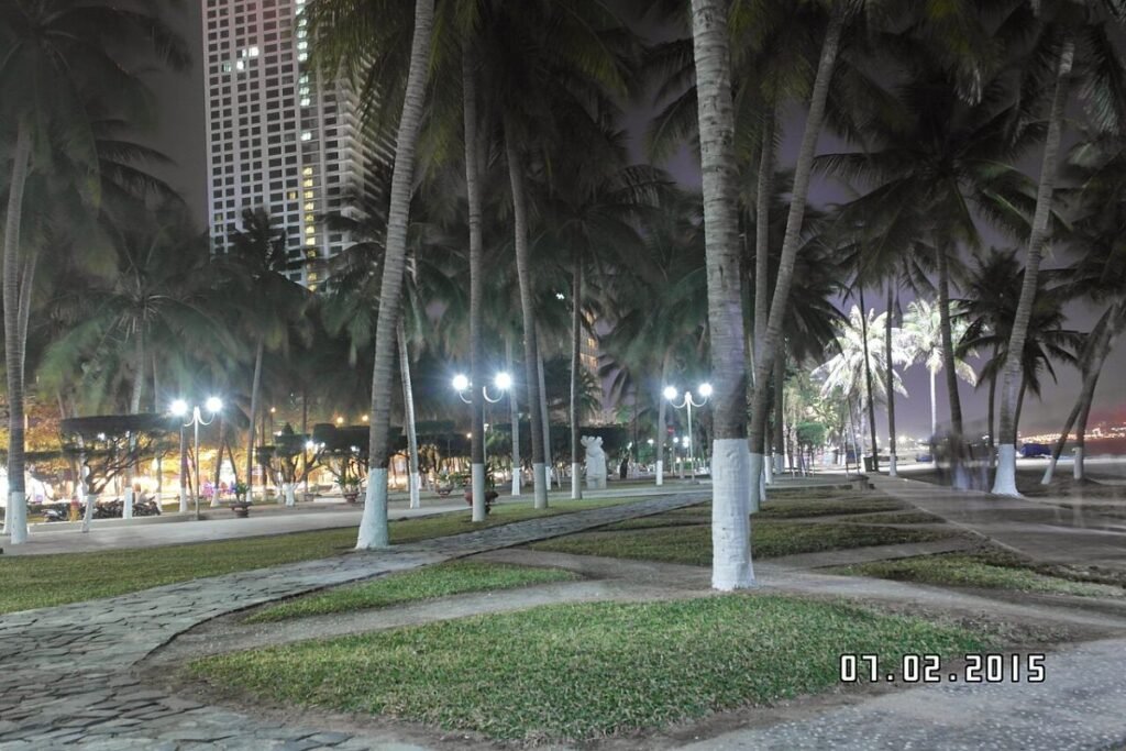 Palm park on the Nha Trang seafront