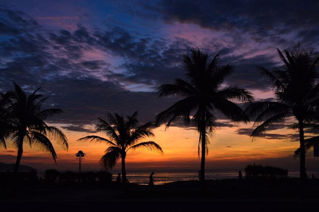 Palm silhouettes at sunset, Da Nang