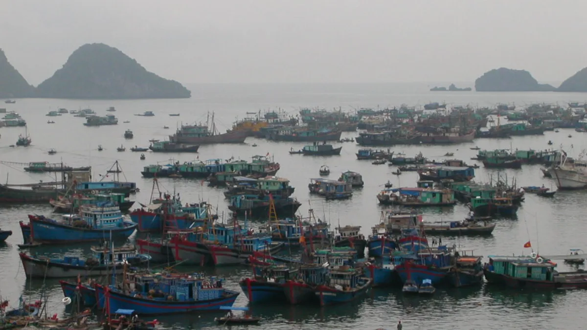 Cruise boats on Ha Long Bay
