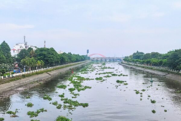 Sun Thanh Da 1-bedroom apartment for rent, river view, furnished pre-lease