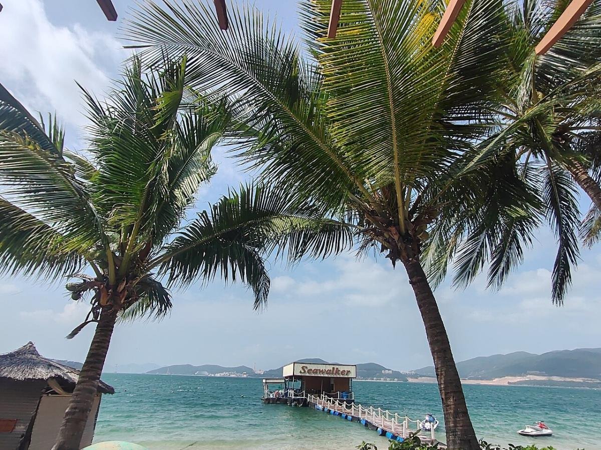 Palm trees by the sea in Cam Ranh