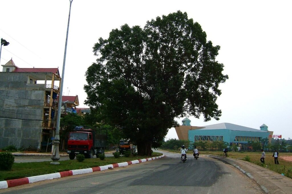 Vinh Yen city, around The City Light