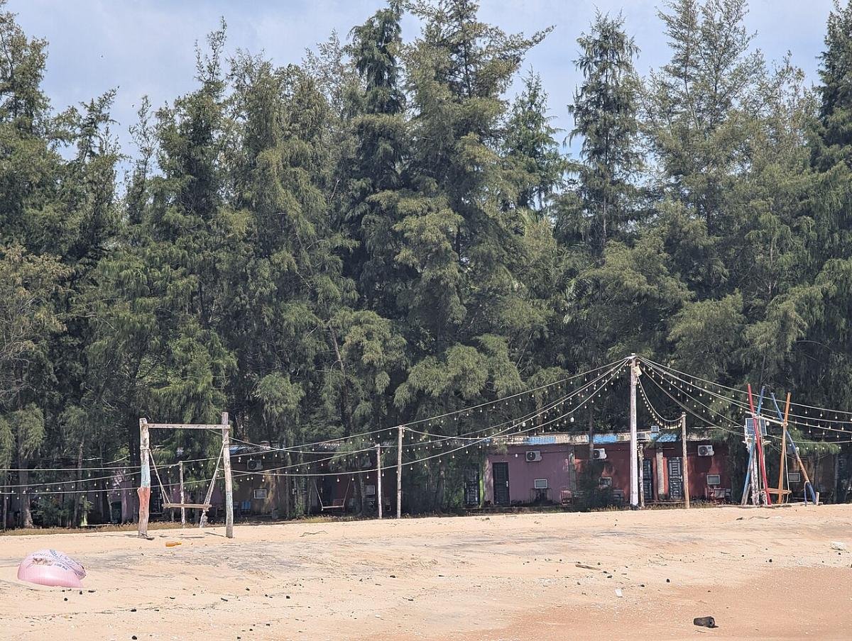 Forest edge by the Ho Tram beach