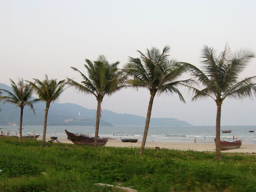 Palm trees on a Da Nang beach