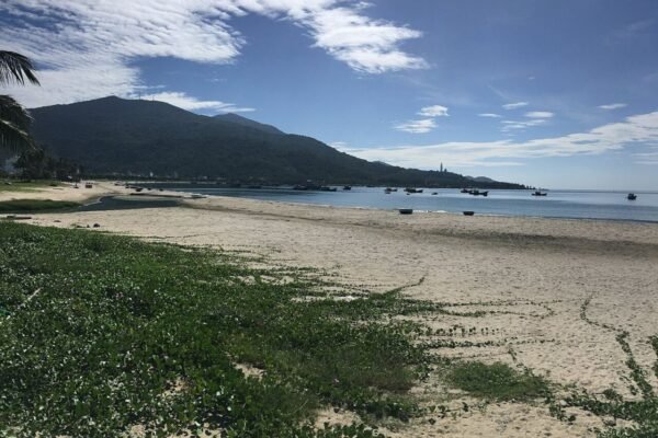 The Sang Residence 2-bedroom for rent, 77 m² facing My Khe Beach