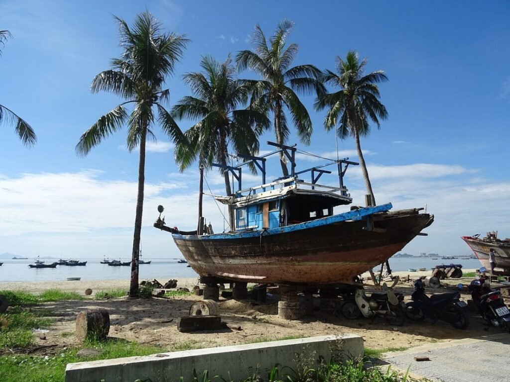Fishing boats under palm trees