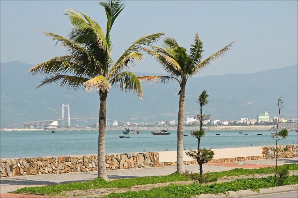 Palm trees on the Da Nang seafront