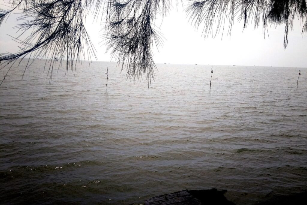 The Can Gio coast