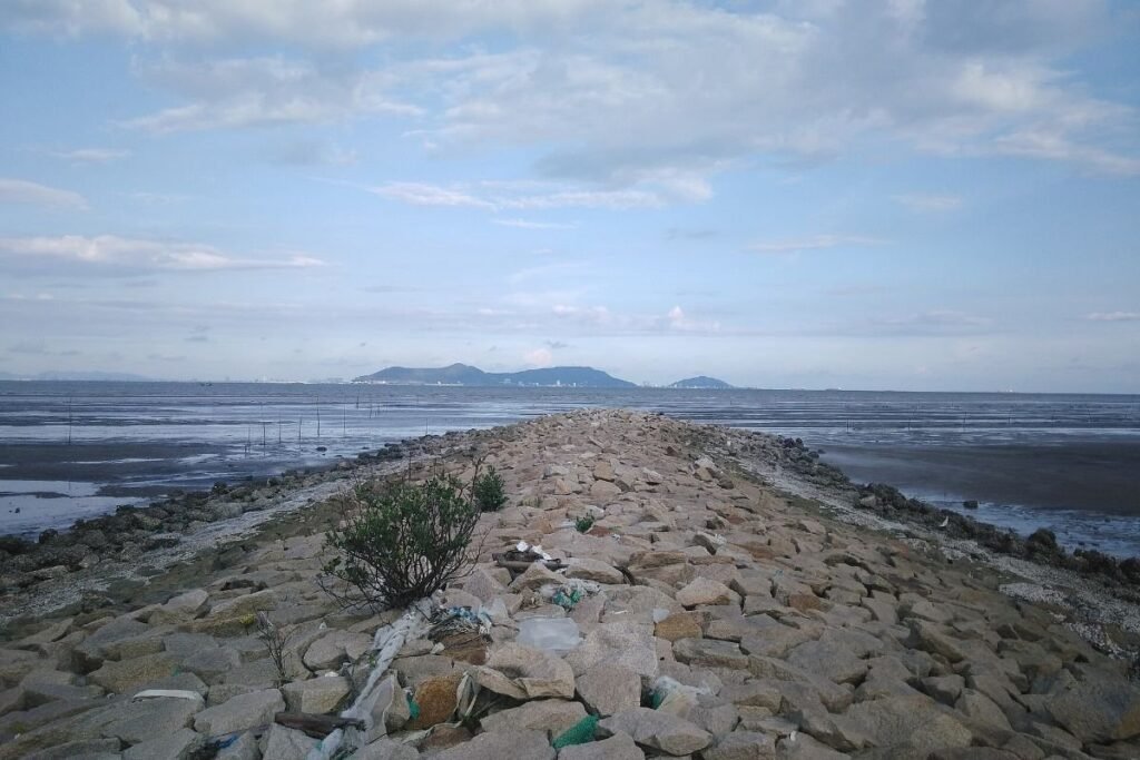 Can Gio beach near the Vinhomes Can Gio apartments for sale