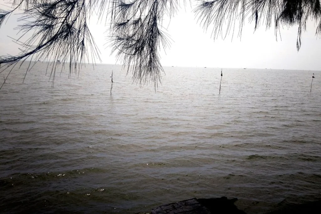 The Can Gio coast near the Vinh Tien townhouses at Vinhomes Green Paradise