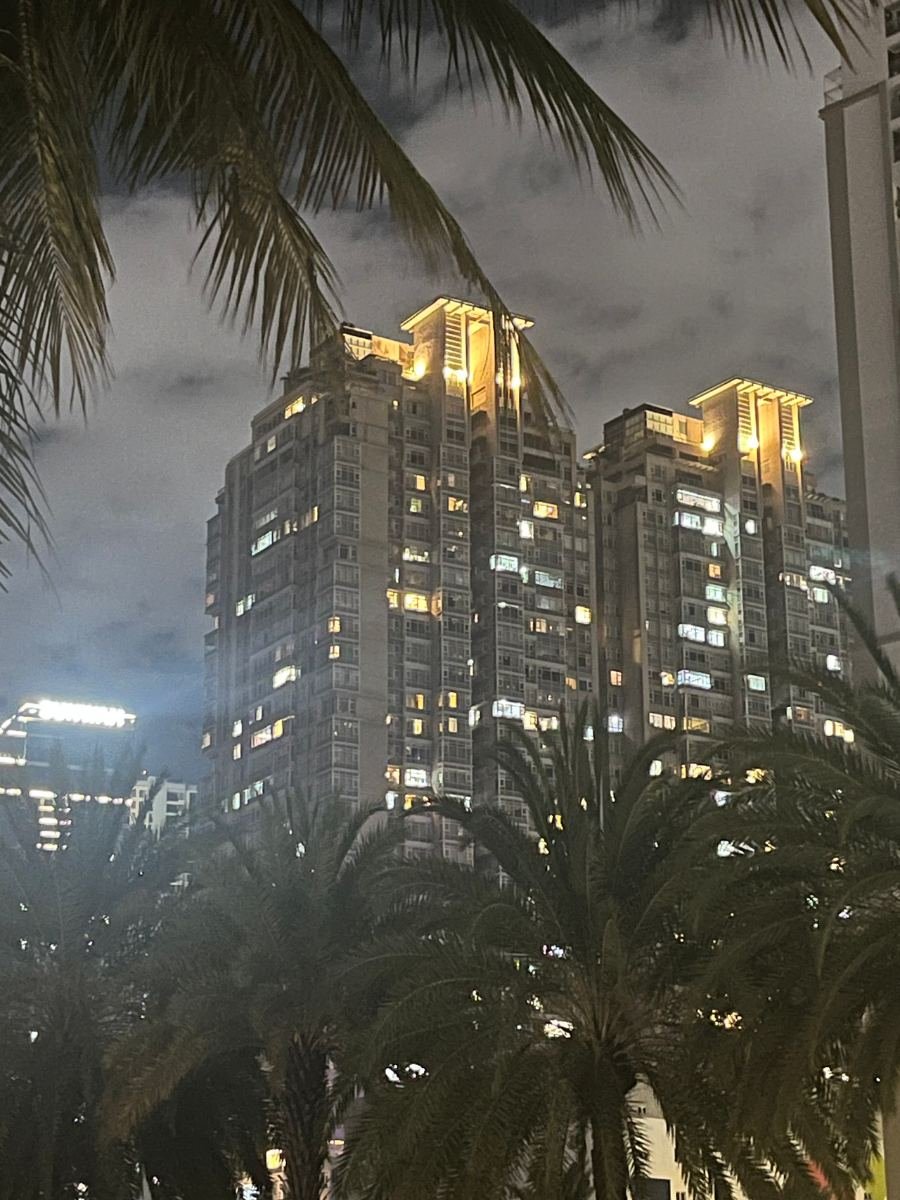 Vinhomes Central Park 2-bedroom for rent – towers seen from the central park at night