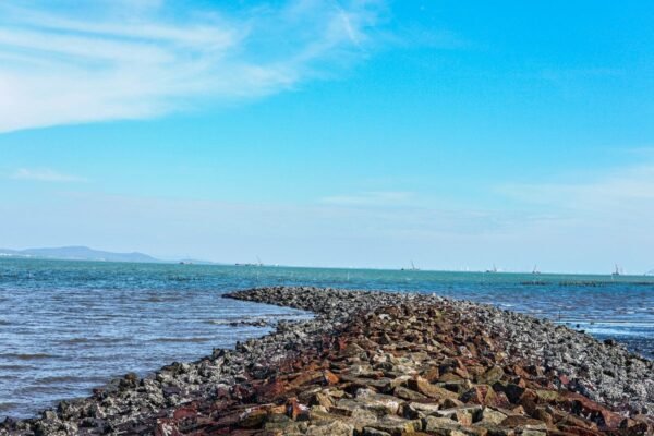 Vinhomes Can Gio 1-bedroom apartment for rent, lagoon view, pre-lease